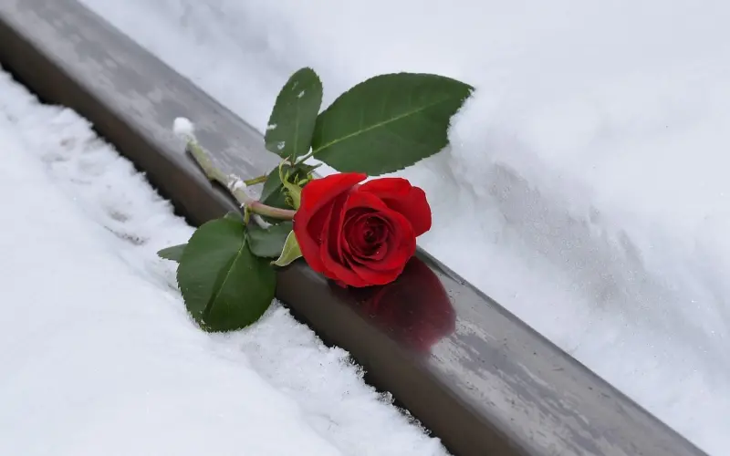 为什么你才20岁，就感觉人生特没意思？