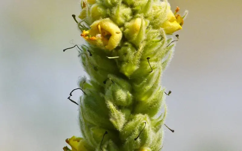 为什么谈恋爱一两年，你就会被甩？