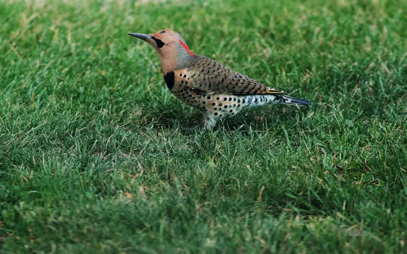 为什么懂很多道理，却依然过不好这一生？