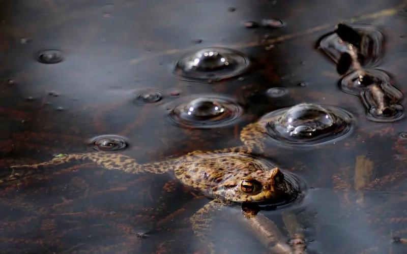 为什么你付出了这么多，对方却视而不见