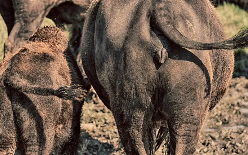 为什么说追女生不能太猴急呢？