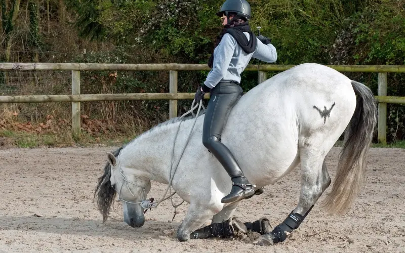 为什么你追女生付出了这么多，最后却什么都得不到？