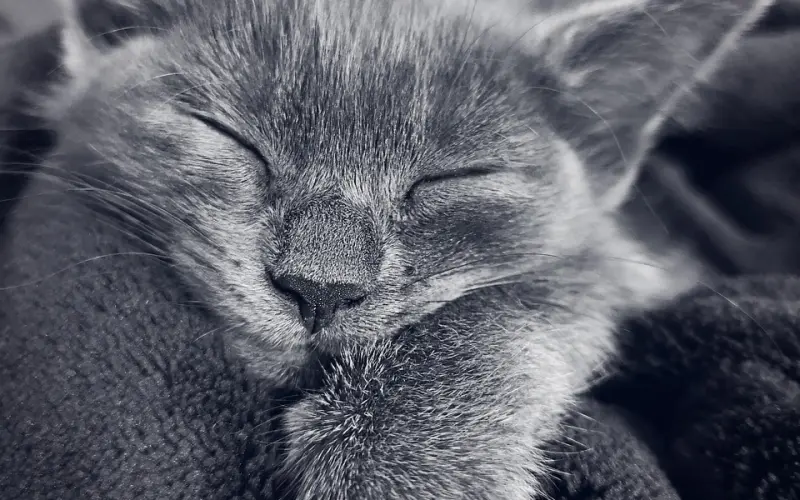 为什么你穿阿玛尼戴劳力士，看起来还是很LOW？