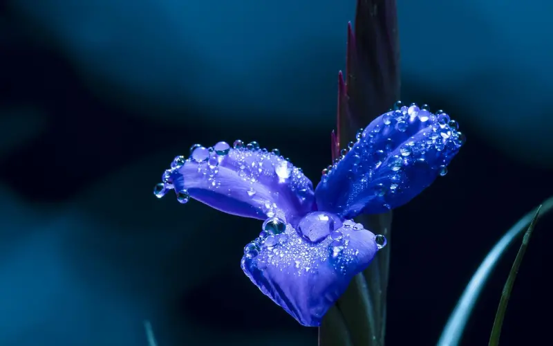 为什么单身久了，就会变成狗？因为『单身』本就是一种退化