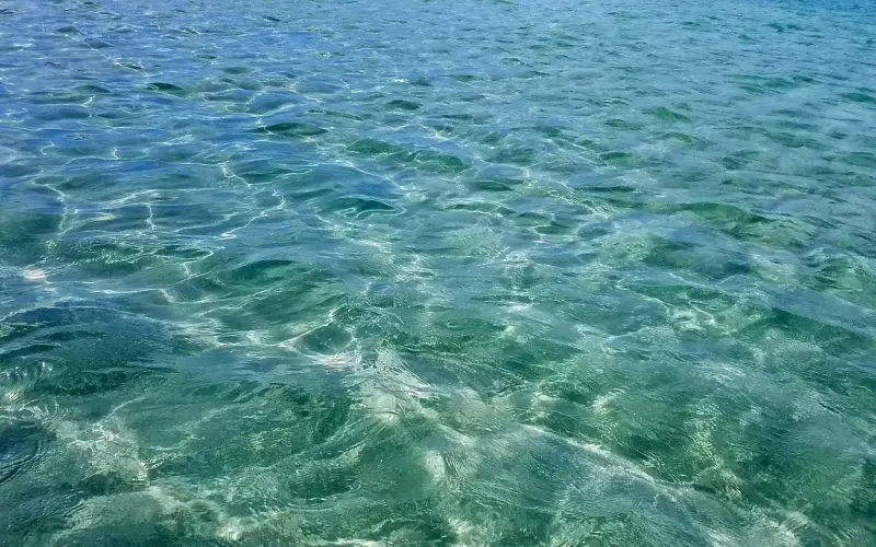 你为什么要约炮？你会约吗？？