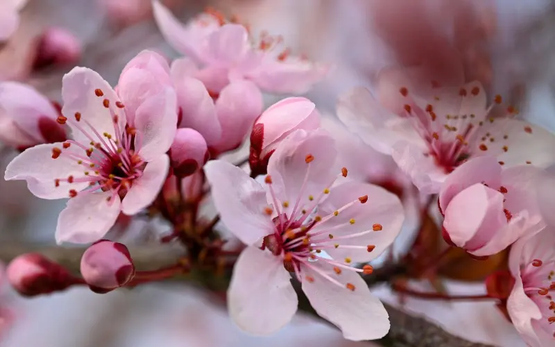 为什么大家都喜欢李现这样的男人？