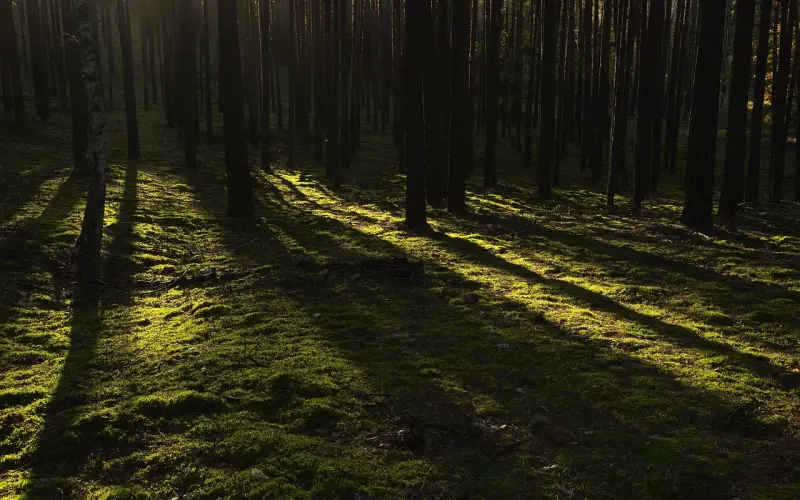 为什么他很爱你，却不想和你结婚？