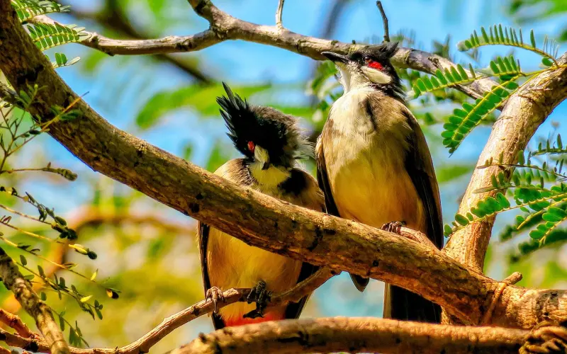 他为什么只是把你当红颜而不娶你？