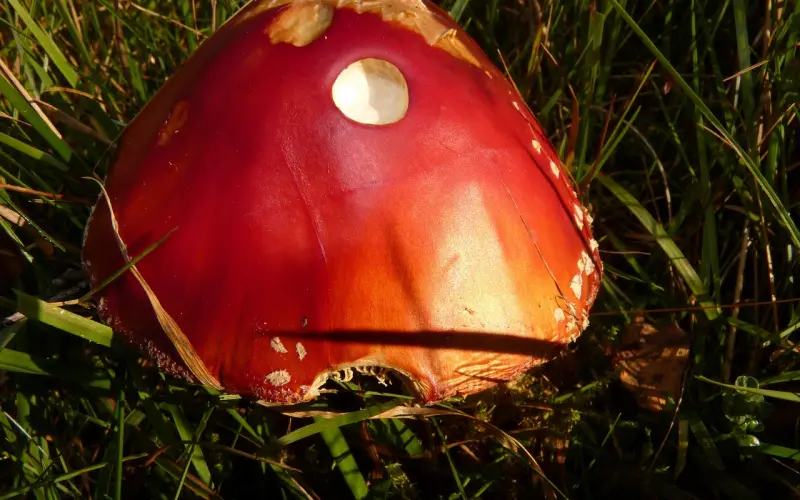 为什么我们都不喜欢在朋友圈点赞了？值得深思！