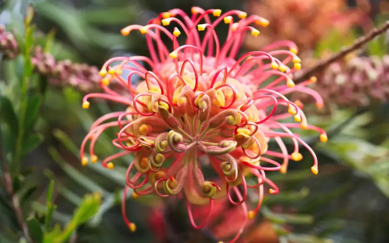 你为什么不肯嫁给一个普通人？