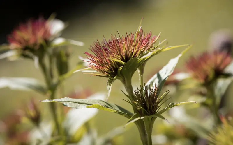挽回男友的进度为何停滞不前？这才是真正原因
