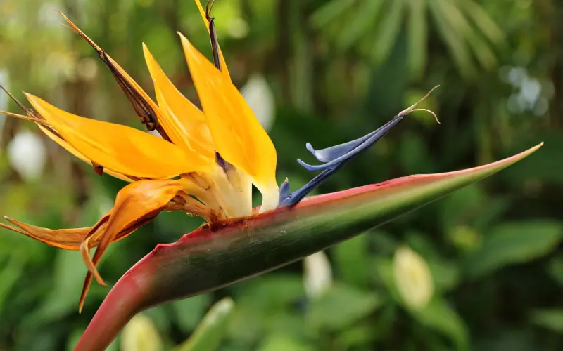 为什么初恋那么难以忘怀？