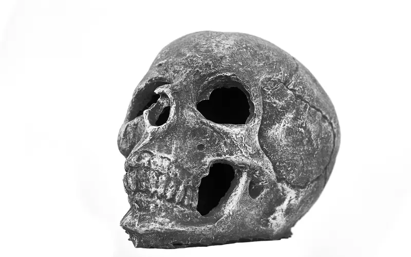 为什么越是努力挽回，对方越是逃避你？