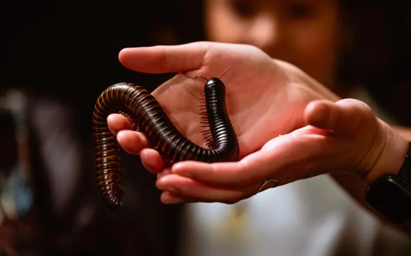 挽回时，为什么你做了那么多，前男友还是无动于衷？