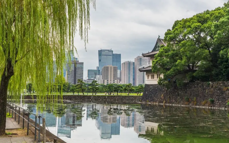 为什么你的挽回，让她那么抗拒？