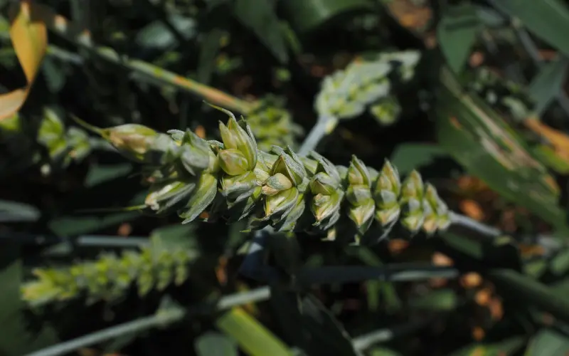 前任为什么会分手时对你如此无情（燃心原创）