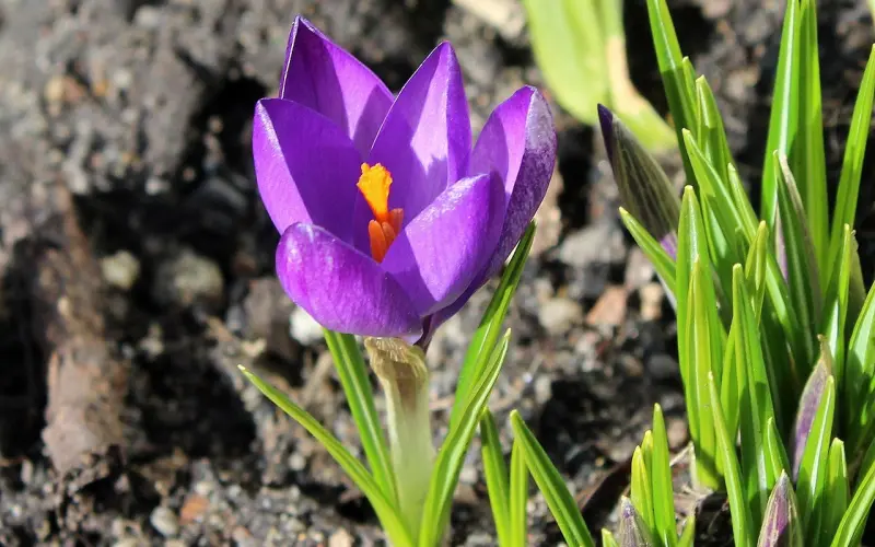 为什么你的恋情总是悲大于乐，原因就出在这