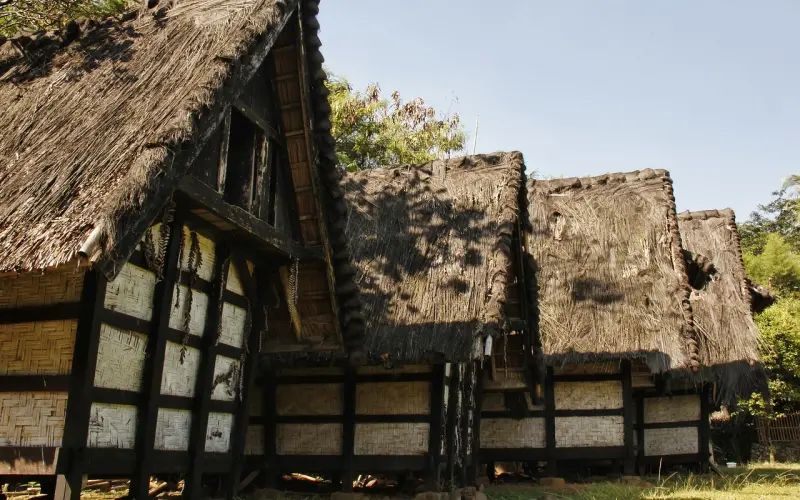 7天收获年薪60万，他凭什么？