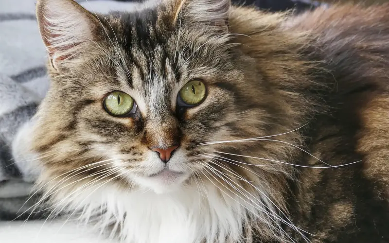 挽回为什么要布置朋友圈？看完你就明白了