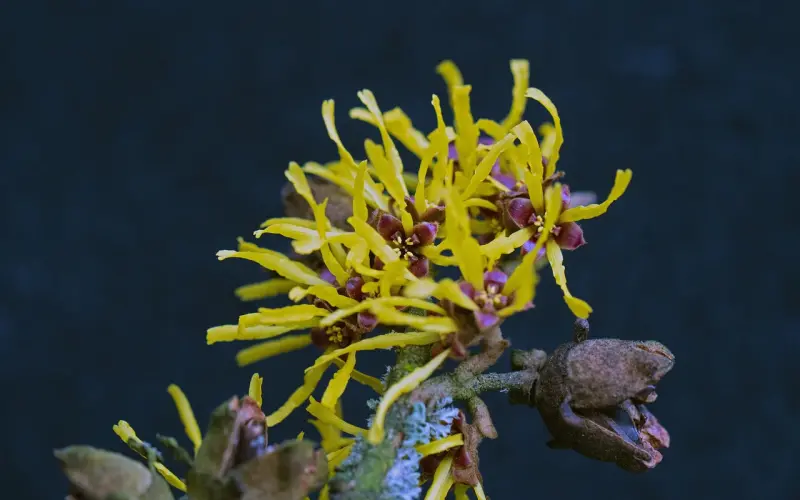 为什么你的挽回不成功？也许你早该知道这些