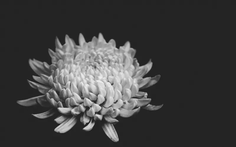 他会为了什么而和你分手？