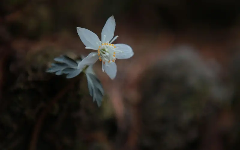 为什么她宁愿单身，也看不上你？