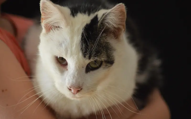 你的丈夫为什么宁愿选择小三也不愿意回家