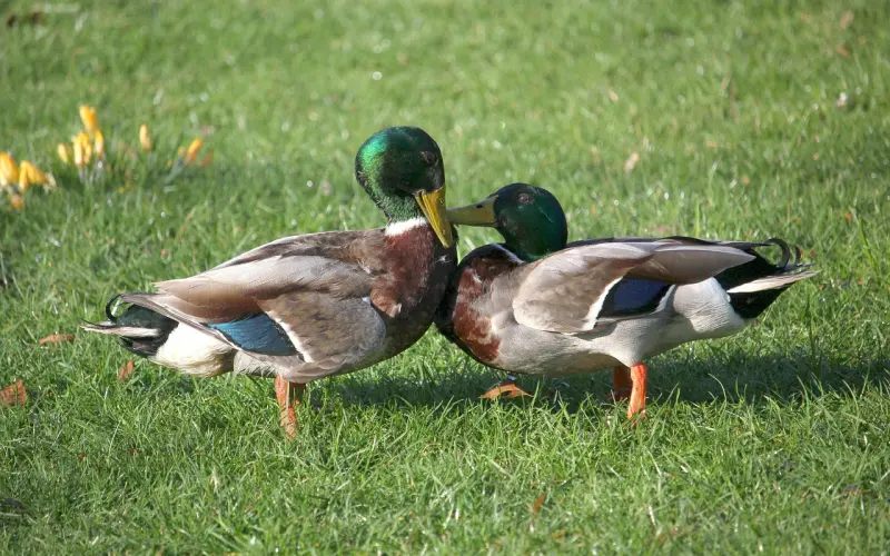 为什么“你在讲道理，而我只想吵架”？