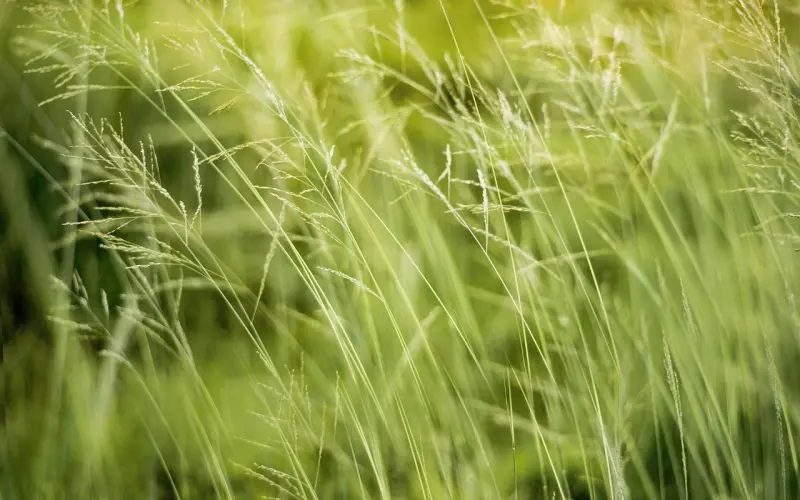 男生长的不帅会有女生欣赏吗？