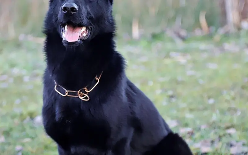 挽回白羊座老公：要怎么做男人会愿意复婚？挽回老公的办法