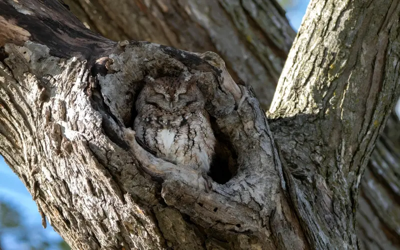 挽回前男友，不委屈自己，学着做一个高情商的女人