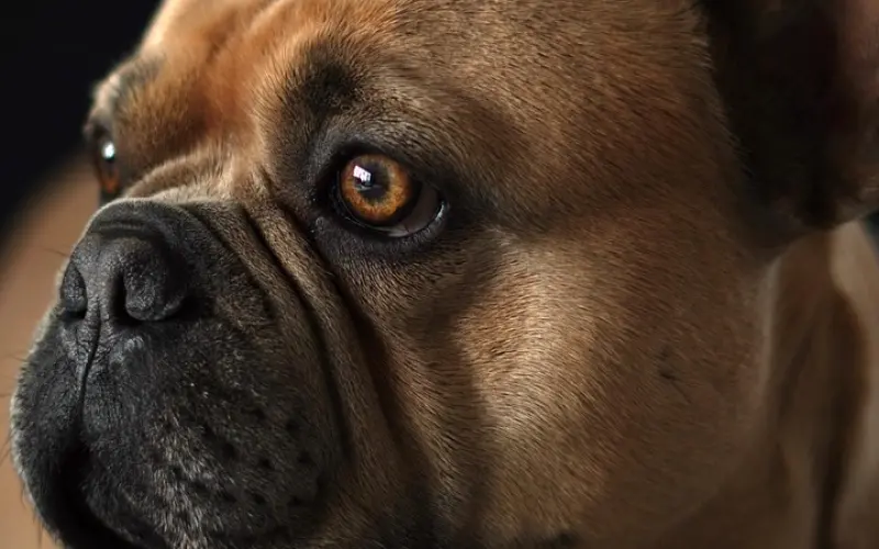 挽回女友系列：分手后怎么挽回女友感情