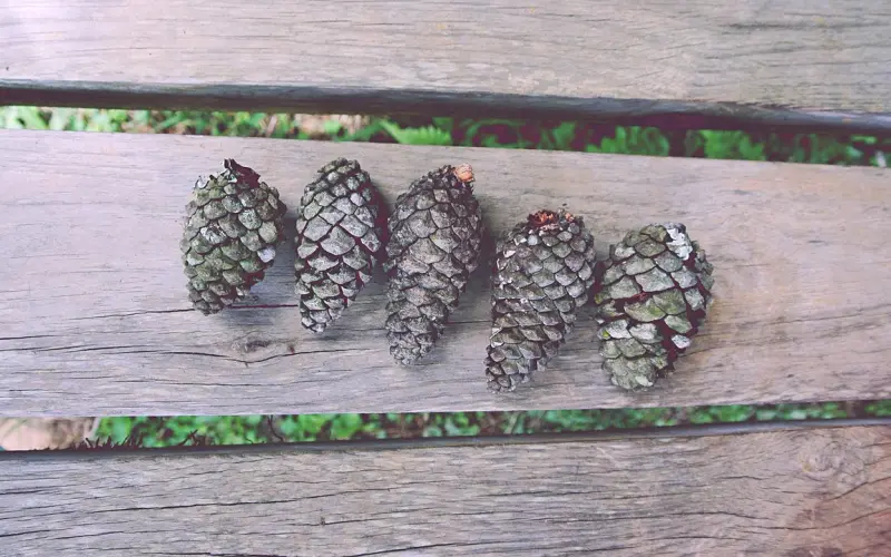 挽回老公找到离婚的隐形问题