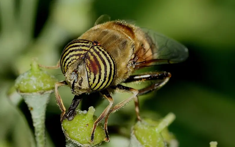 挽回双鱼座男友的心：挽回双鱼男最佳时间