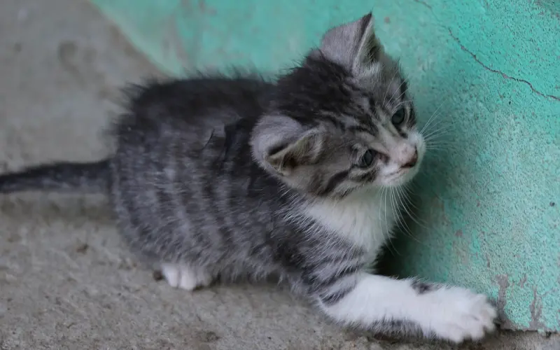 挽回女友：在一起两年，绝大部分都是吵架，我还有必要挽回吗？