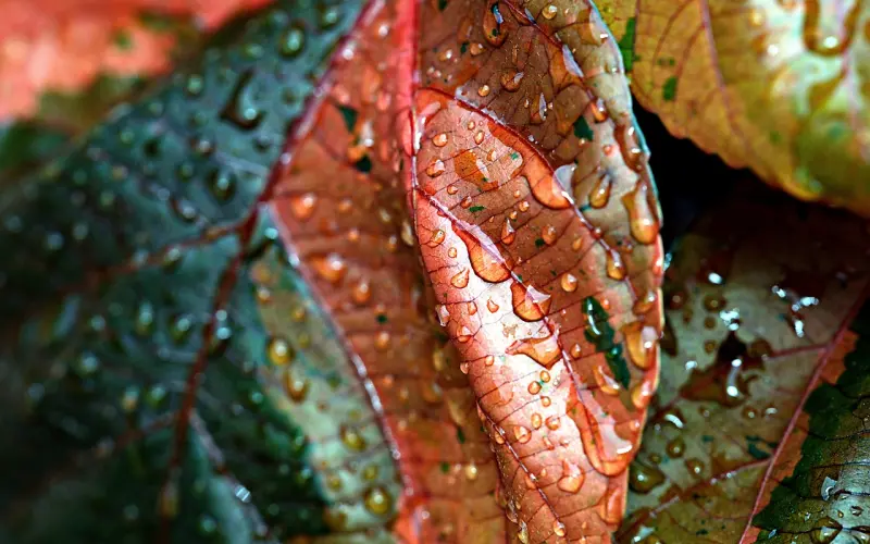 挽回走投无路，我只能骂他是渣男！