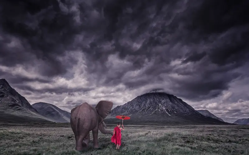 如果没有信任，我们能靠一纸婚约走多远？