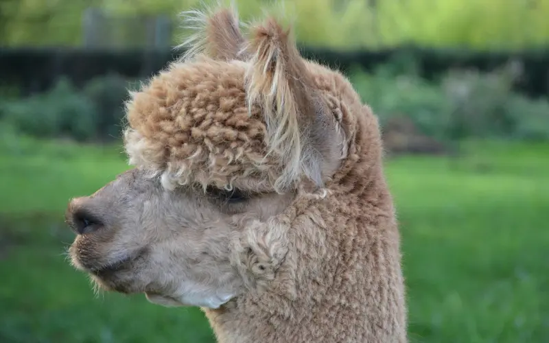 女人，男人不爱你，原来是你不会化妆