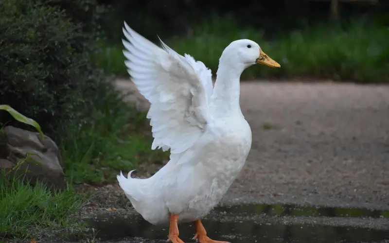 女人，世界因你才完美
