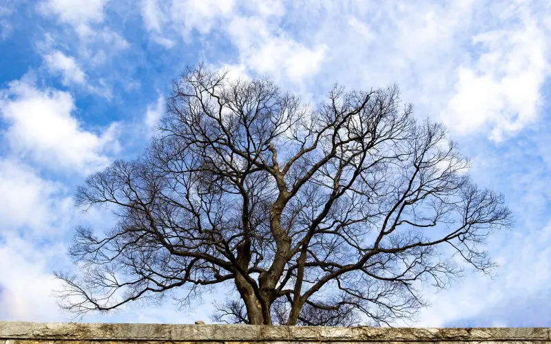 女人， 这些表现说明你有了初老症