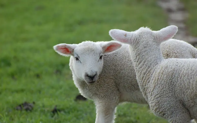 女人都是越哄越可爱的