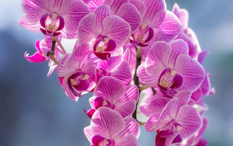 女人，“醋”不能乱吃，这三个误区切勿乱闯，你吃对了吗？