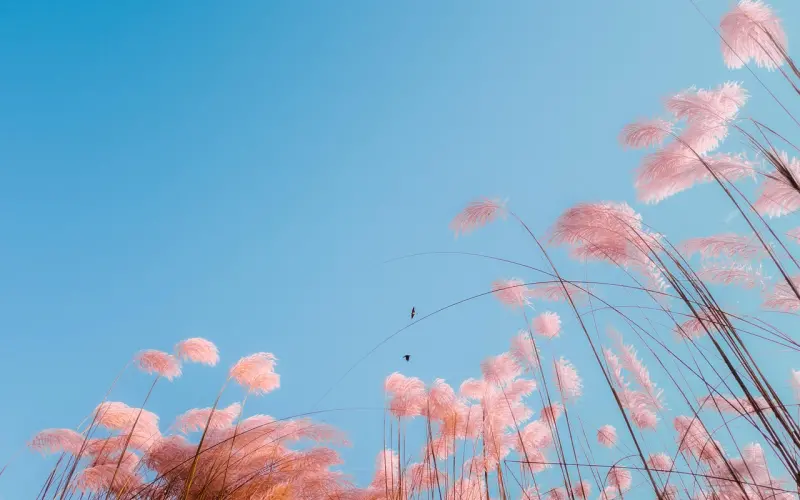 这三种性格的男人，女人最讨厌！