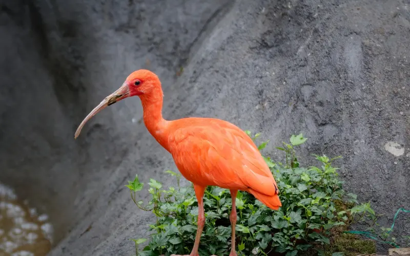 女人必知，男人恋爱后的4大心态