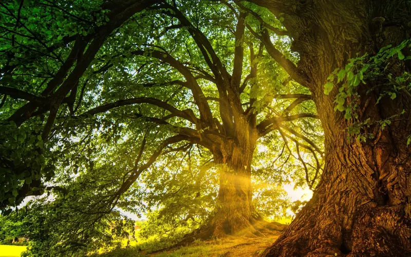 “装傻”的女人，最令男人着迷了！