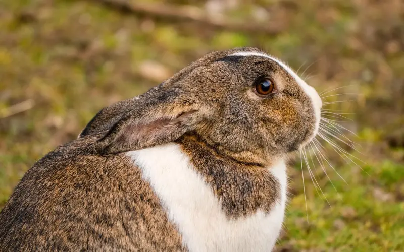 高情商的女人，总能让男人另眼相看