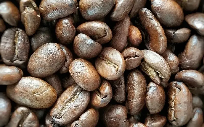 女性秘物：《渣男鉴别手册》