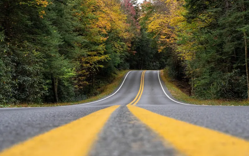 奚梦瑶摔跤：国模女神之路背后的无数次摔倒