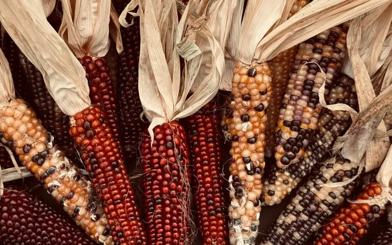 杨幂刘恺威离婚：真实，是婚姻最好的状态