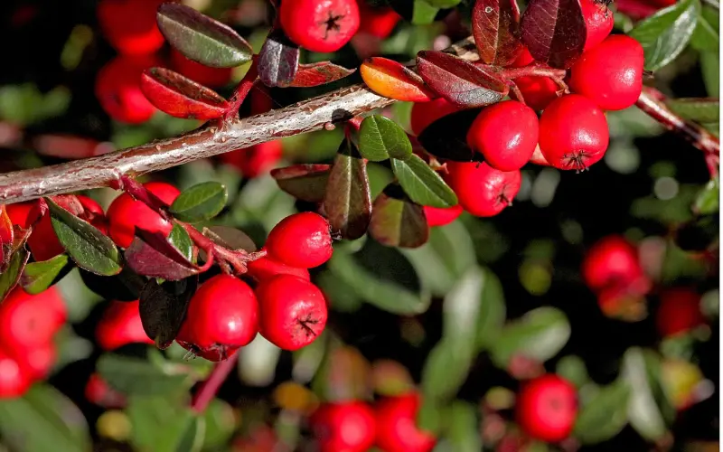 挽回也要讲究章法，这些低情商的手段就不要再用了！